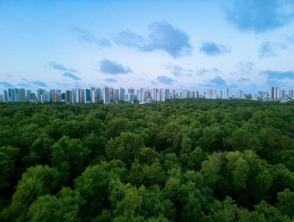 Transition énergétique : la satisfaction client au rendez-vous